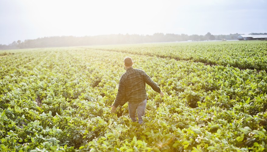 What Documents Can Prove Land Ownership?