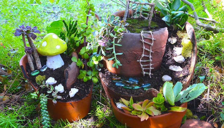 Finished Fairy Garden Finished Fairy Garden