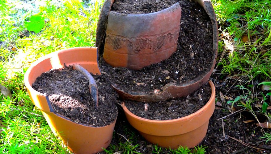Add Potting Soil Add Potting Soil