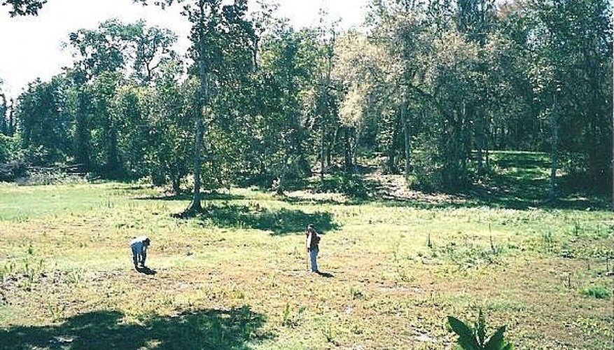 Surface collecting can help you find the perfect spot to dig! Surface collecting can help you find the perfect spot to dig!