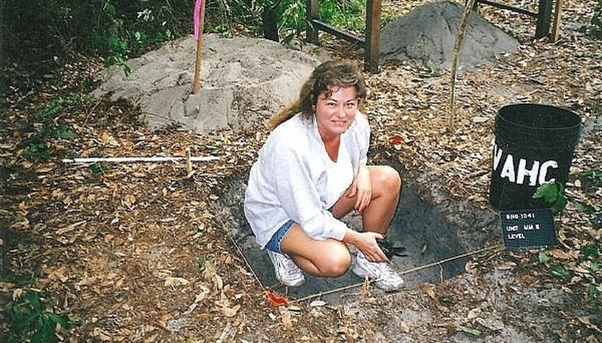 Perform an Archaeological Dig! Perform an Archaeological Dig!