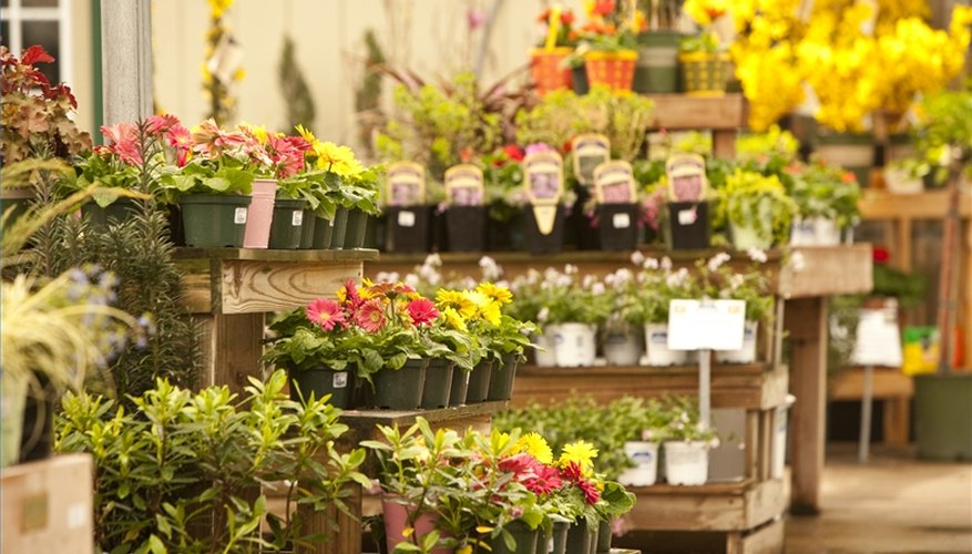 business plan for a plant shop