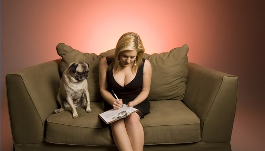 Write a Business Plan for a Doggy Daycare