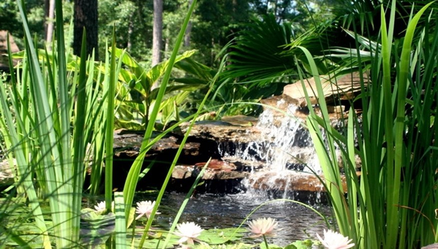 A soothing pond waterfall. A soothing pond waterfall.