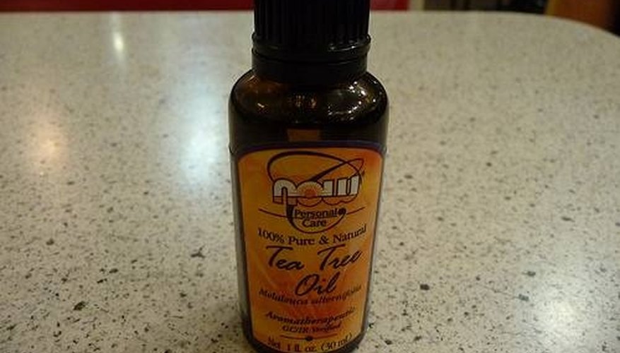 Tea tree oil Tea tree oil