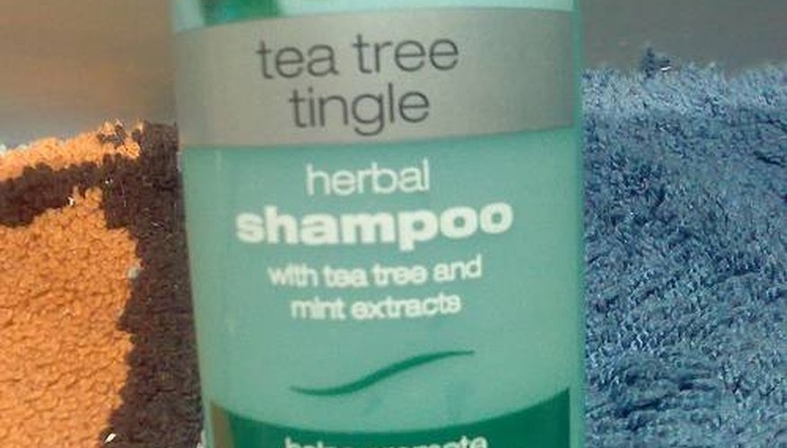 Tea tree shampoo Tea tree shampoo