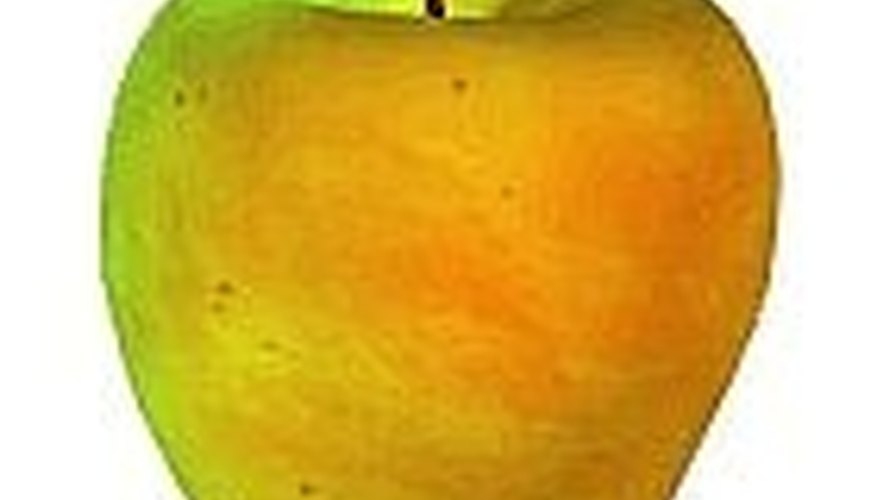 fiber lowers estrogen levels fiber lowers estrogen levels