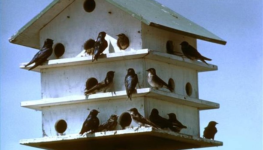 How to Make a Purple Martin Birdhouse Our Pastimes
