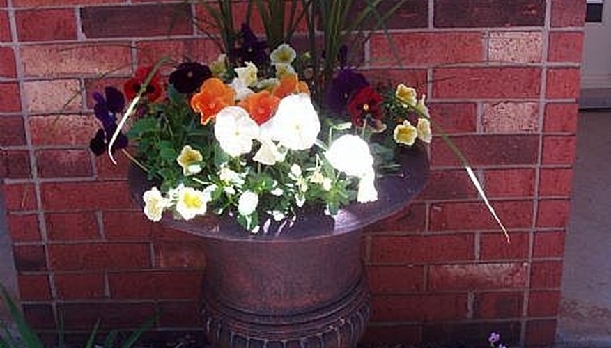 Flowers Flowers