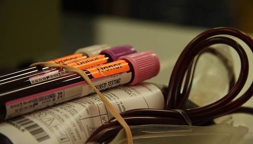 Start a Blood Testing Clinic