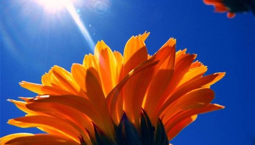 Solar Power Use is a Green Alternative to Fossil Fuels Solar Power Use is a Green Alternative to Fossil Fuels