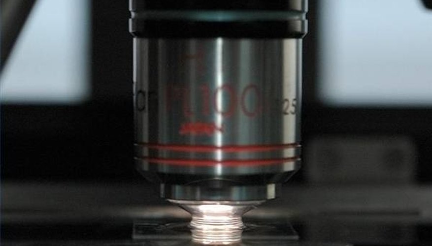 Photo Credit: wikimedia.org Uses of Microscopes in Science