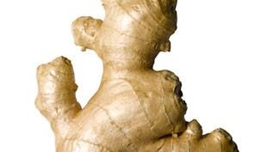 ginger root ginger root