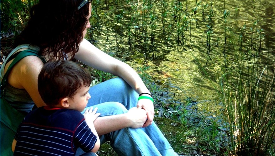 Help your child develop observation skills by playing simple games. Help your child develop observation skills by playing simple games.