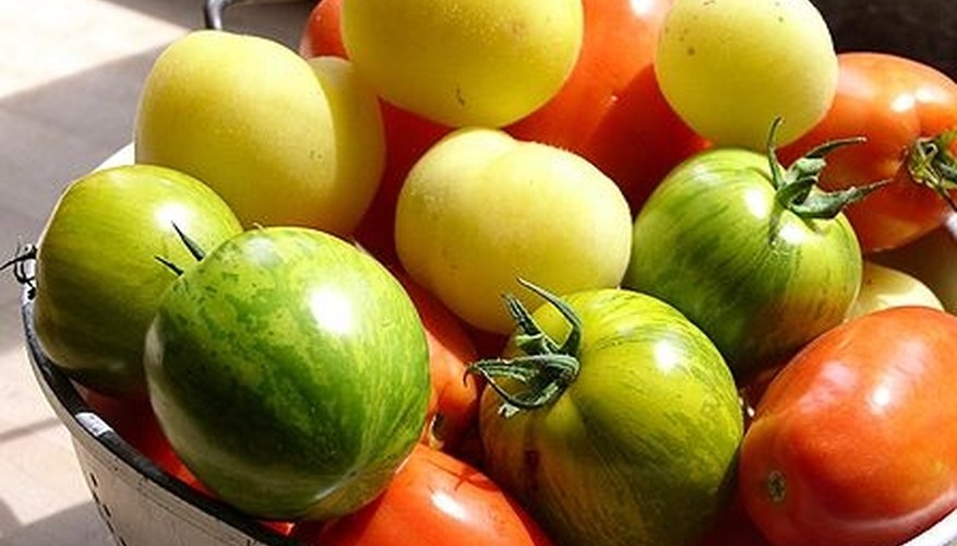 Tomatoes Tomatoes