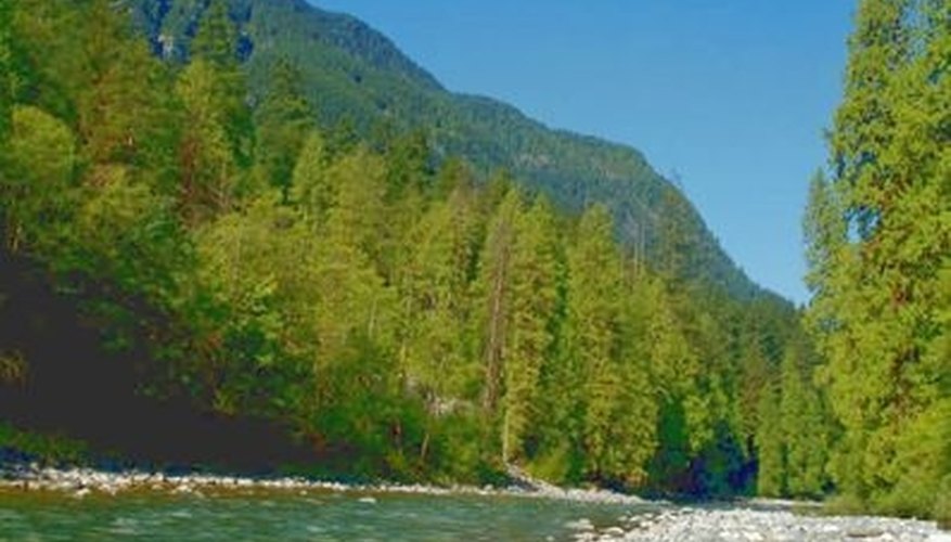 Water moving sediment smoothes the edges of river rocks. Water moving sediment smoothes the edges of river rocks.