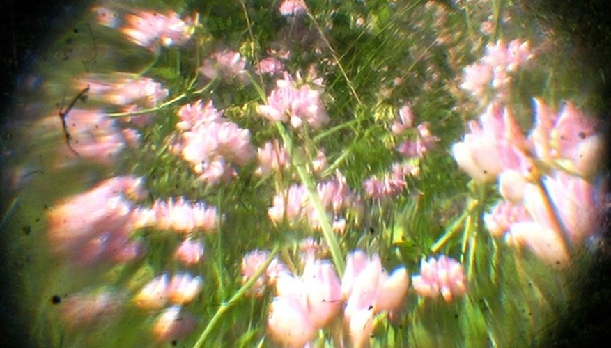 Floral scents are popular masking fragrances Floral scents are popular masking fragrances