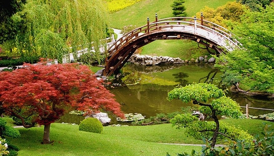 Beautiful ponds can suffer fish deaths Beautiful ponds can suffer fish deaths