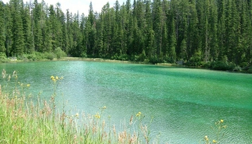 If your lake is particularly verdant, pay tribute to it with cooler colors. If your lake is particularly verdant, pay tribute to it with cooler colors.