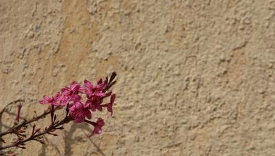 Adobe can be a great building material for walls in desert homes. Adobe can be a great building material for walls in desert homes.