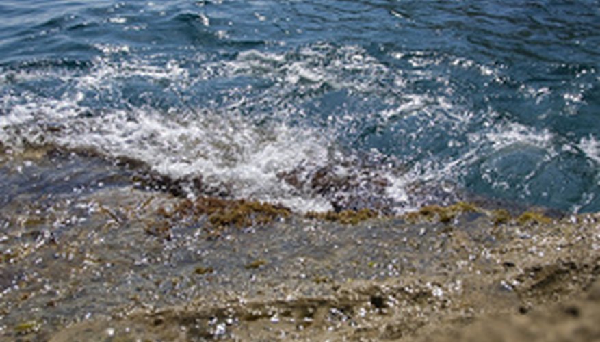 Shorelines are most vulnerable to erosion effects. Shorelines are most vulnerable to erosion effects.