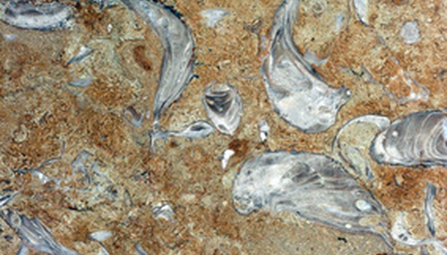 Countertops are available in wood, granite, quartz and other materials. Countertops are available in wood, granite, quartz and other materials.