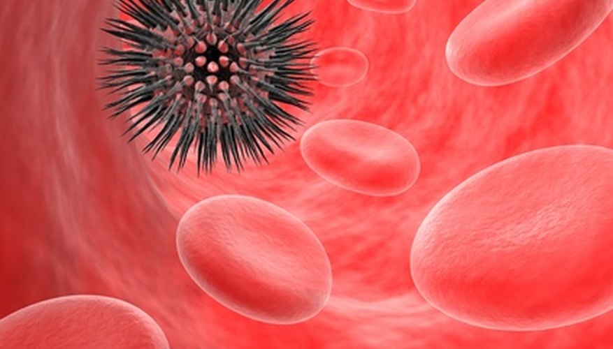 Histamines released into the blood stream can cause hives on the skin. Histamines released into the blood stream can cause hives on the skin.