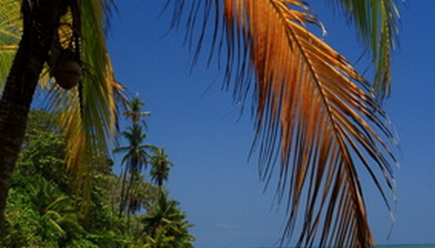 Panamanian real estate records are kept at the Public Registry.