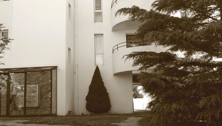 A property management company will help you and cost you money.