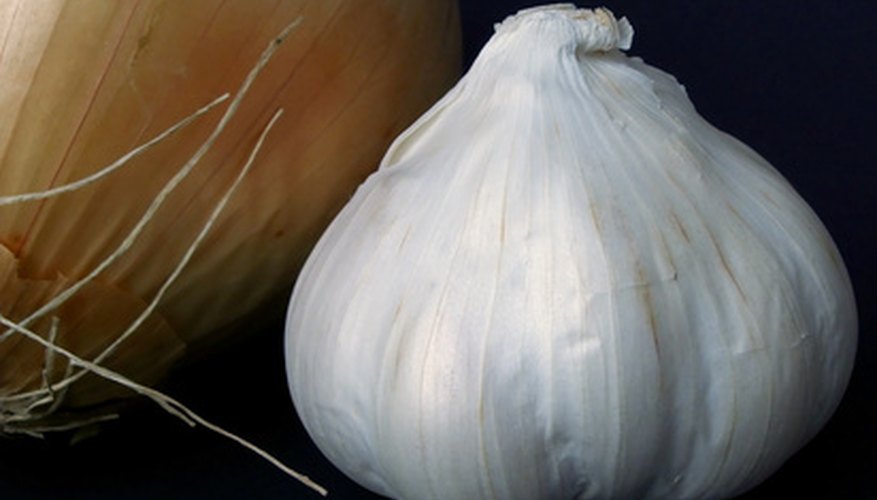 Don't eat garlic or onions before your date. Don't eat garlic or onions before your date.
