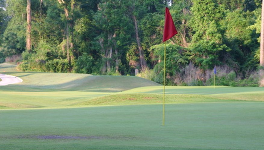 The Masters tournament is probably the most famous invitational tournament. The Masters tournament is probably the most famous invitational tournament.