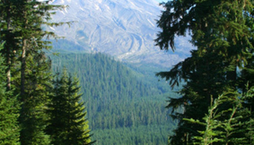 Photo Credit: volcano mount st. helens from forest image by Nwrainman from <a href='http://www.fotolia.com'>Fotolia.com</a> Helenite's range of colors reflects the verdant hues of the forest surrounding Mount St. Helens.