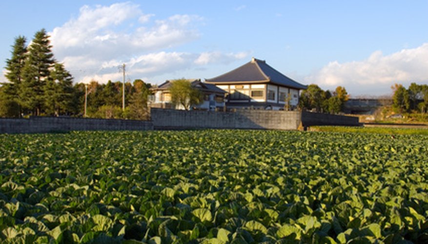 Roberts told a legend of children grown in cabbage patches, waiting to be adopted. Roberts told a legend of children grown in cabbage patches, waiting to be adopted.