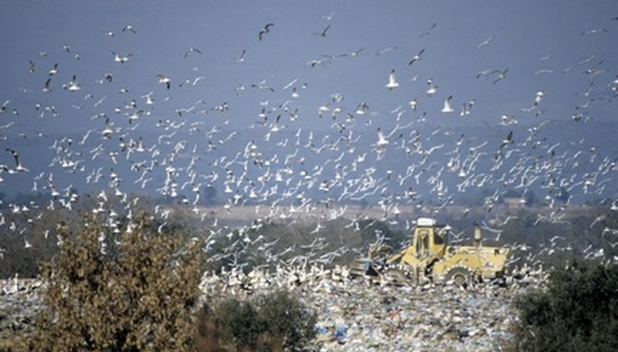Photo Credit: birds at a landfill site in Extremadura/Spain image by Lars Lachmann from <a href='http://www.fotolia.com'>Fotolia.com</a> Compaction ratios are used to rate the efficiency of a trash compactor.