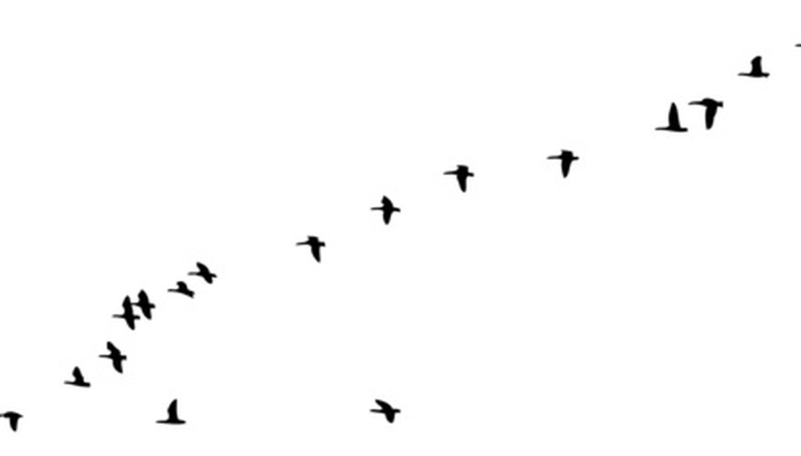 how-to-calculate-a-flying-geese-quilt-block-size-our-pastimes