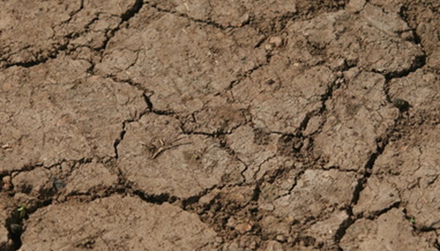 Photo Credit: earth image by Alison Bowden from <a href='http://www.fotolia.com'>Fotolia.com</a> Tectonic plate projects are easy to make.