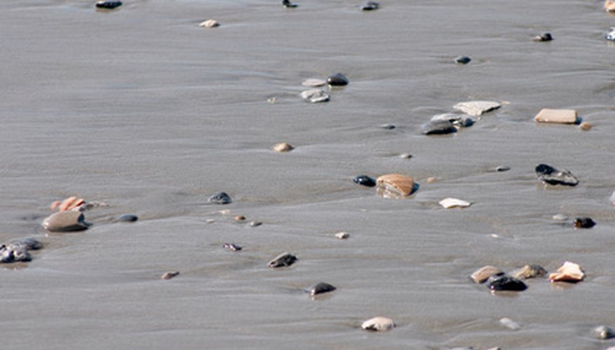 Photo Credit: low tide image by Dwight Davis from <a href='http://www.fotolia.com'>Fotolia.com</a> An abundance of sea life can be found on the beach at low tide.