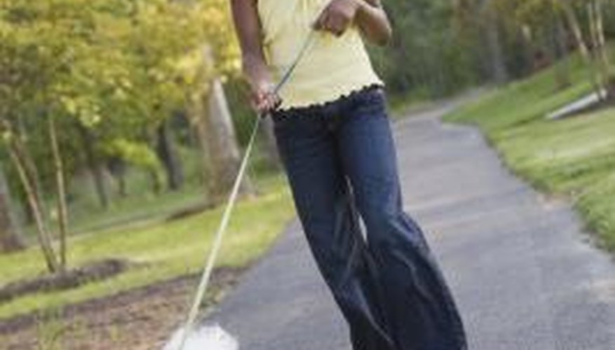 some owners don't have adequate time to walk their dogs some owners don't have adequate time to walk their dogs