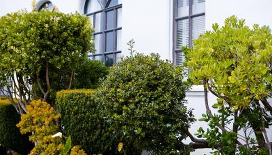 White stucco exterior White stucco exterior