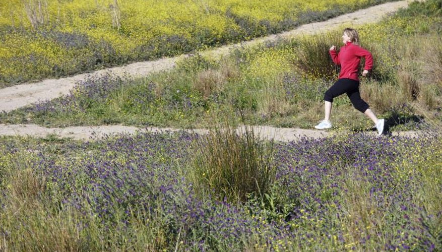 A woman is running on a path. A woman is running on a path.