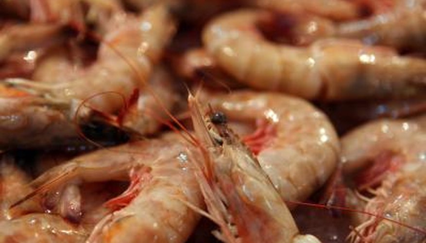 Purchase juvenile shrimp from a hatchery Purchase juvenile shrimp from a hatchery