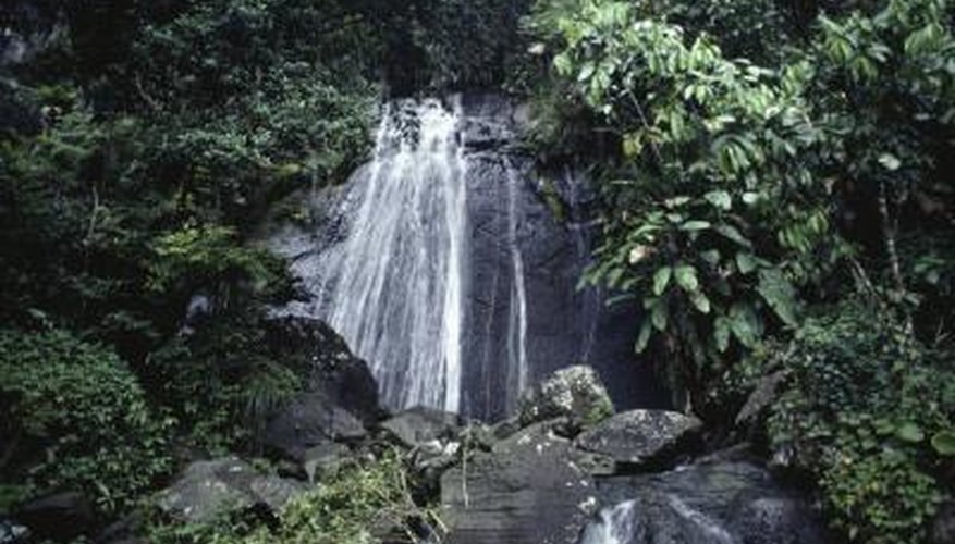 Waterfall in forest. Waterfall in forest.