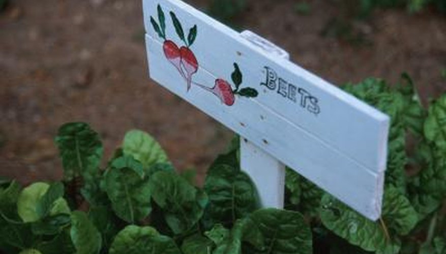 A functional garden fence should keep garden pests outside. A functional garden fence should keep garden pests outside.