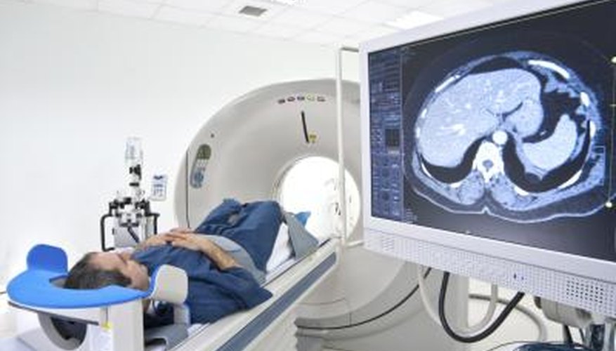 Cat Scan Cat Scan