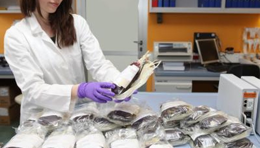 Medical worker with blood bags. Medical worker with blood bags.