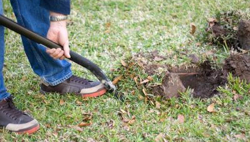 Man digging hole Man digging hole