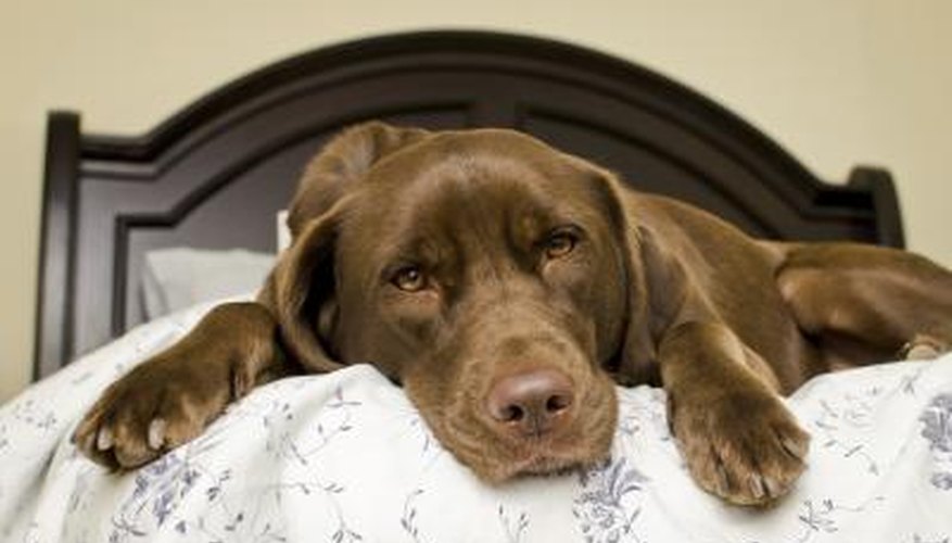 Photo Credit: SeanORourke/iStock/Getty Images Age can cause leg weakness.