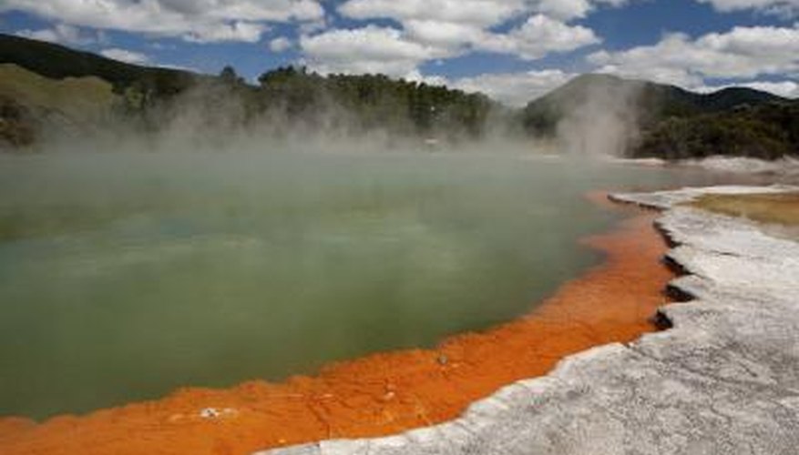 The hot water in a hot spring limits the biotic factors to bacteria that can survive the high temperatures. The hot water in a hot spring limits the biotic factors to bacteria that can survive the high temperatures.