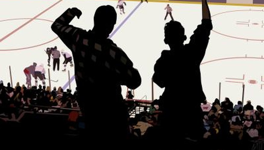 In 2002 Zamboni was recognized as The Official Ice Resurfacer of the NHL. In 2002 Zamboni was recognized as The Official Ice Resurfacer of the NHL.