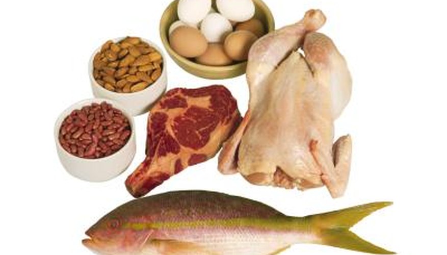 Many forms of protein. Many forms of protein.